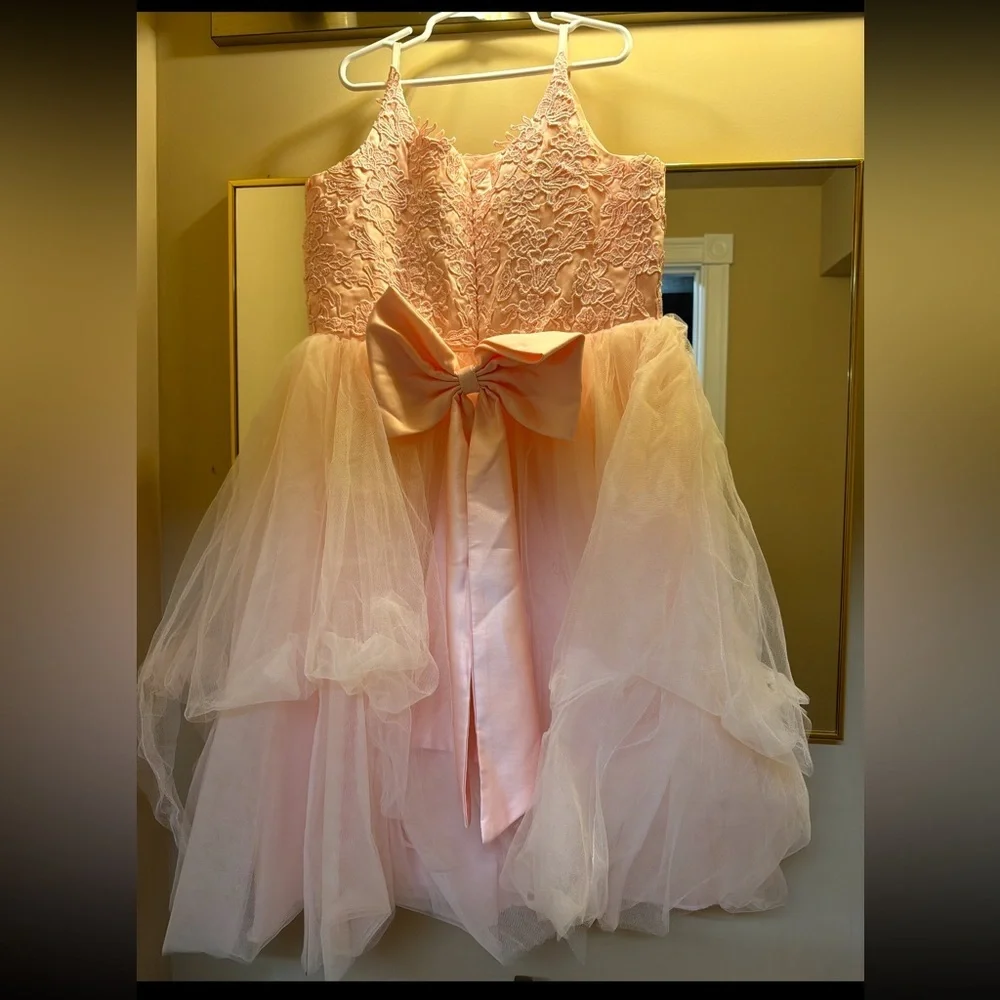 Pink Lace Tulle Flower Girl Dress Size 12 Ball Gown Wedding Party